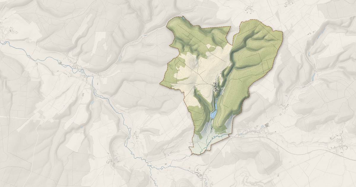 Portrait cartographique de Reynel : relief, eau, forêts, bâti et voies, calculés à partir des données de l'IGN