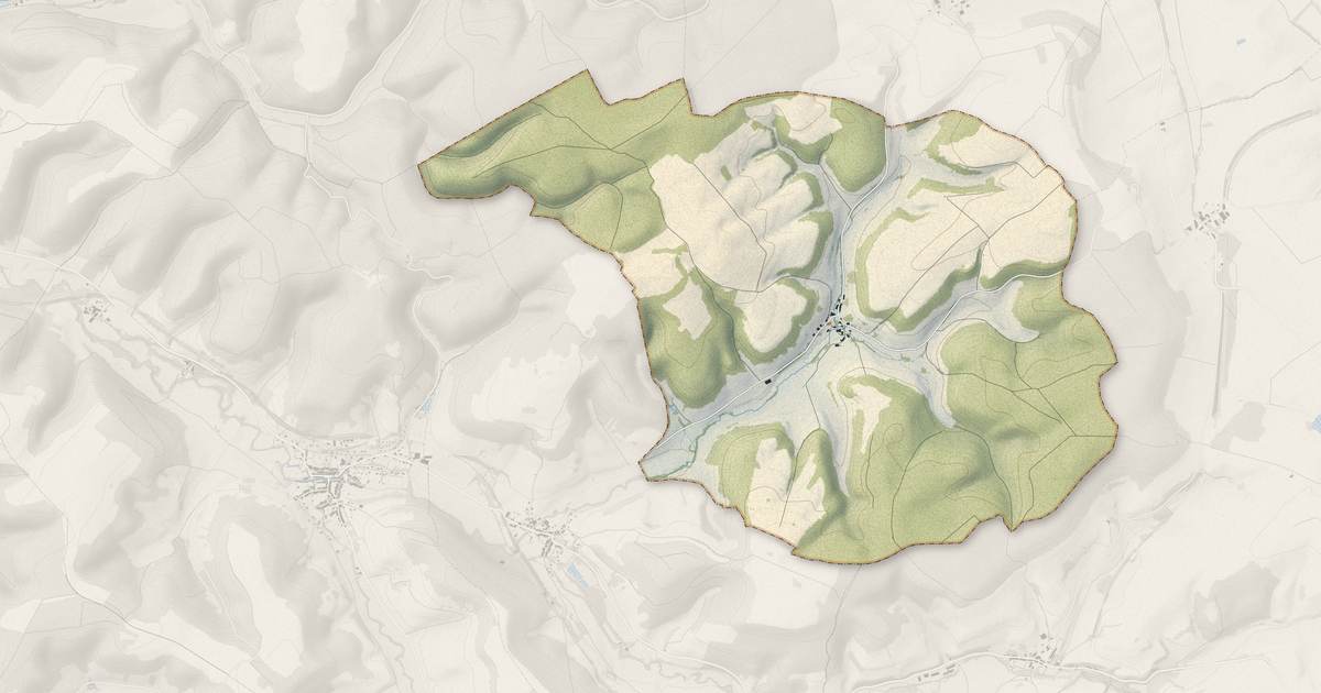 Portrait cartographique de Sailly : relief, eau, forêts, bâti et voies, calculés à partir des données de l'IGN