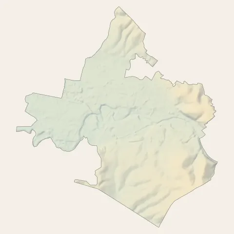 Saint-Dizier : relief