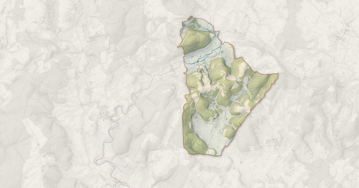 Portrait cartographique de Saulles : relief, eau, forêts, bâti et voies, calculés à partir des données de l'IGN