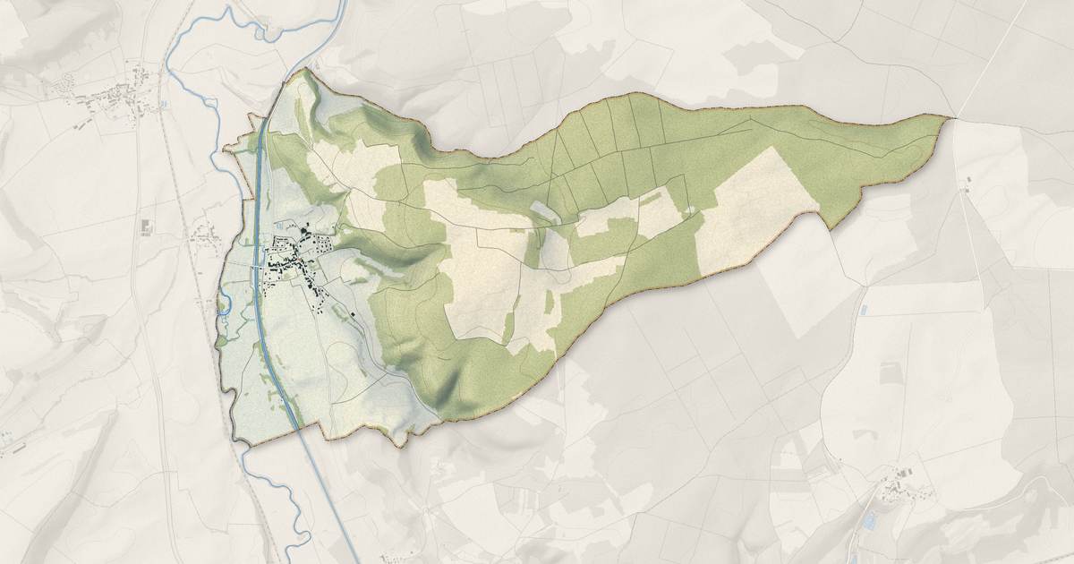 Portrait cartographique de Viéville : relief, eau, forêts, bâti et voies, calculés à partir des données de l'IGN