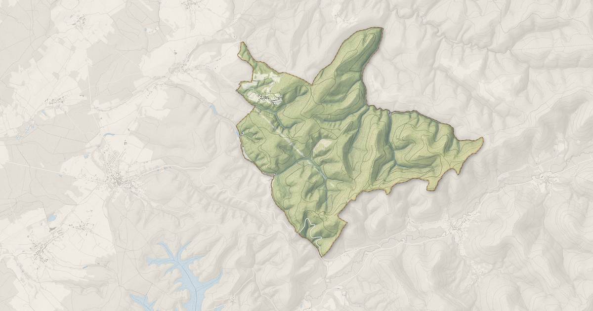 Portrait cartographique de Angomont : relief, eau, forêts, bâti et voies, calculés à partir des données de l'IGN