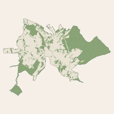 Baccarat : bois, forêts et landes