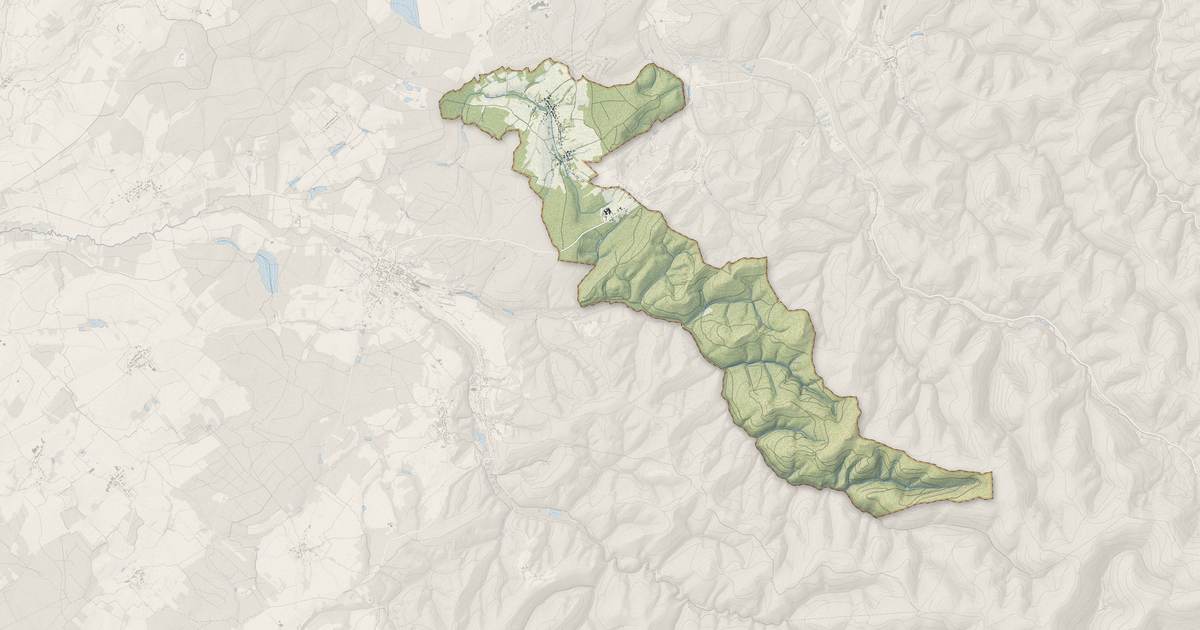 Portrait cartographique de Bertrambois : relief, eau, forêts, bâti et voies, calculés à partir des données de l'IGN