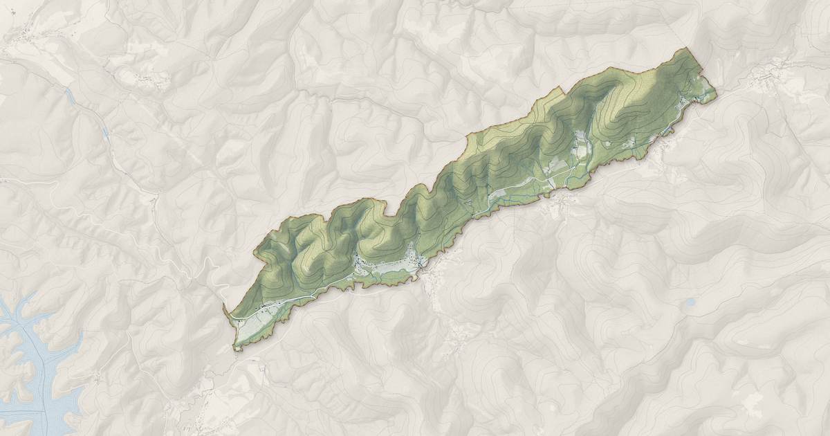 Portrait cartographique de Bionville : relief, eau, forêts, bâti et voies, calculés à partir des données de l'IGN