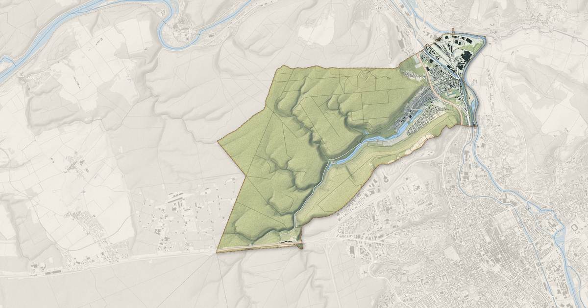 Portrait cartographique de Champigneulles : relief, eau, forêts, bâti et voies, calculés à partir des données de l'IGN