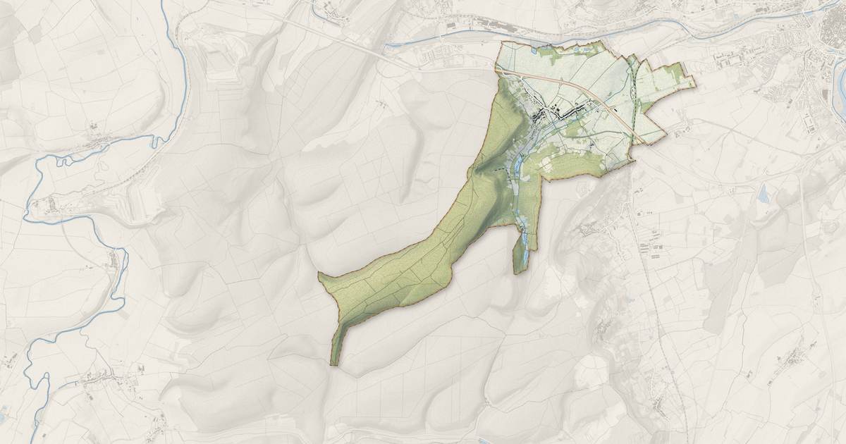 Portrait cartographique de Choloy-Ménillot : relief, eau, forêts, bâti et voies, calculés à partir des données de l'IGN