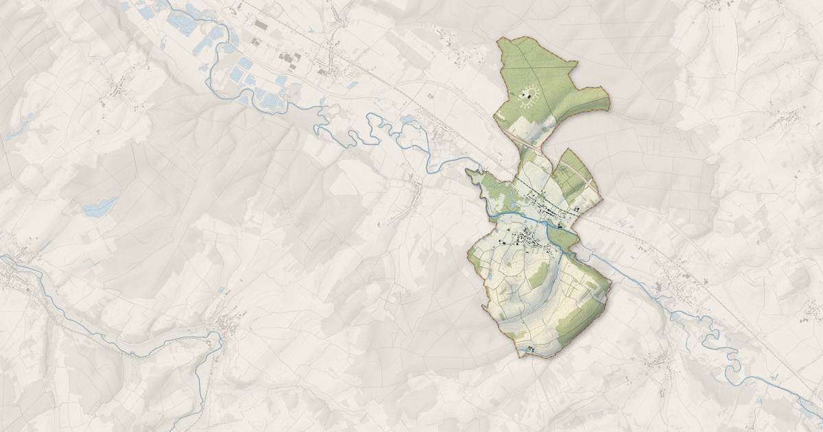 Portrait cartographique de Flin : relief, eau, forêts, bâti et voies, calculés à partir des données de l'IGN
