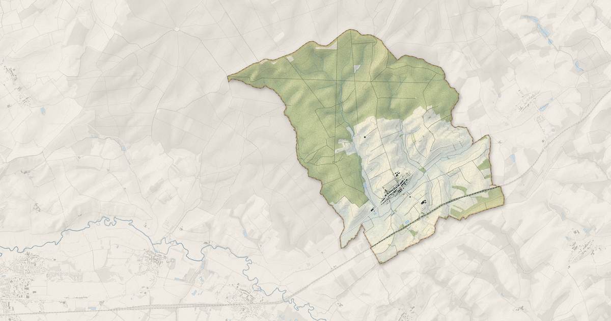 Portrait cartographique de Laneuveville-aux-Bois : relief, eau, forêts, bâti et voies, calculés à partir des données de l'IGN
