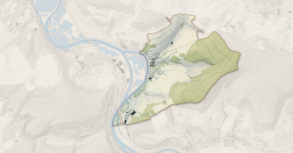 Portrait cartographique de Millery : relief, eau, forêts, bâti et voies, calculés à partir des données de l'IGN