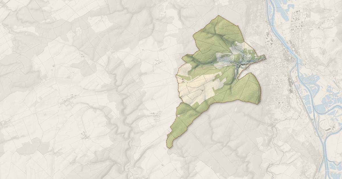 Portrait cartographique de Montauville : relief, eau, forêts, bâti et voies, calculés à partir des données de l'IGN