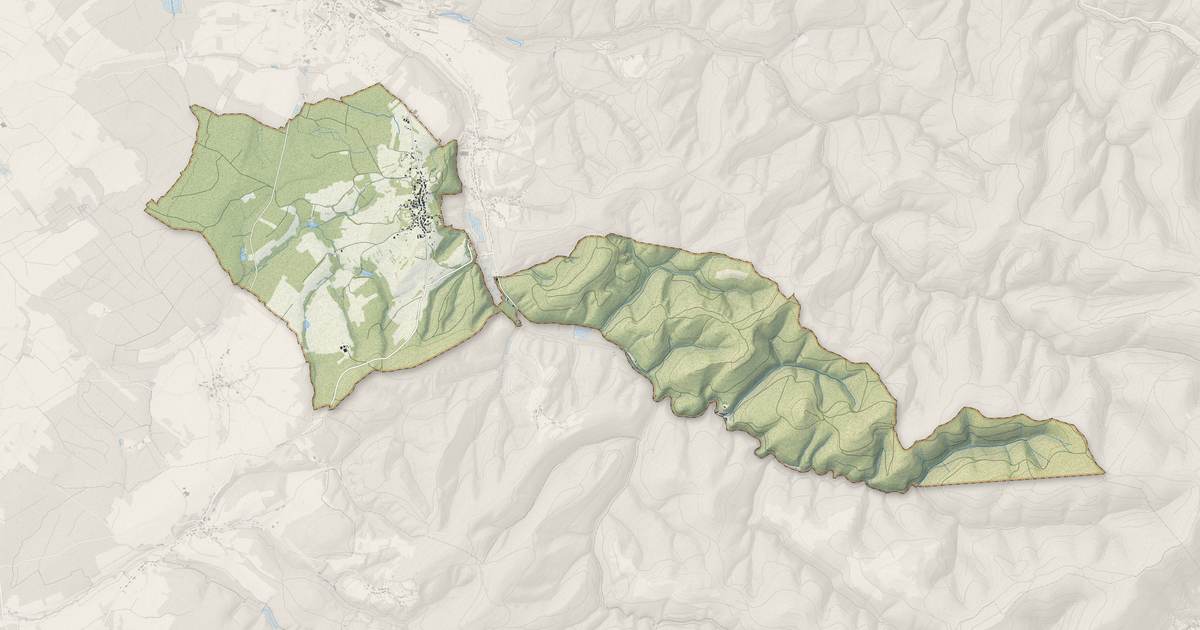 Portrait cartographique de Petitmont : relief, eau, forêts, bâti et voies, calculés à partir des données de l'IGN