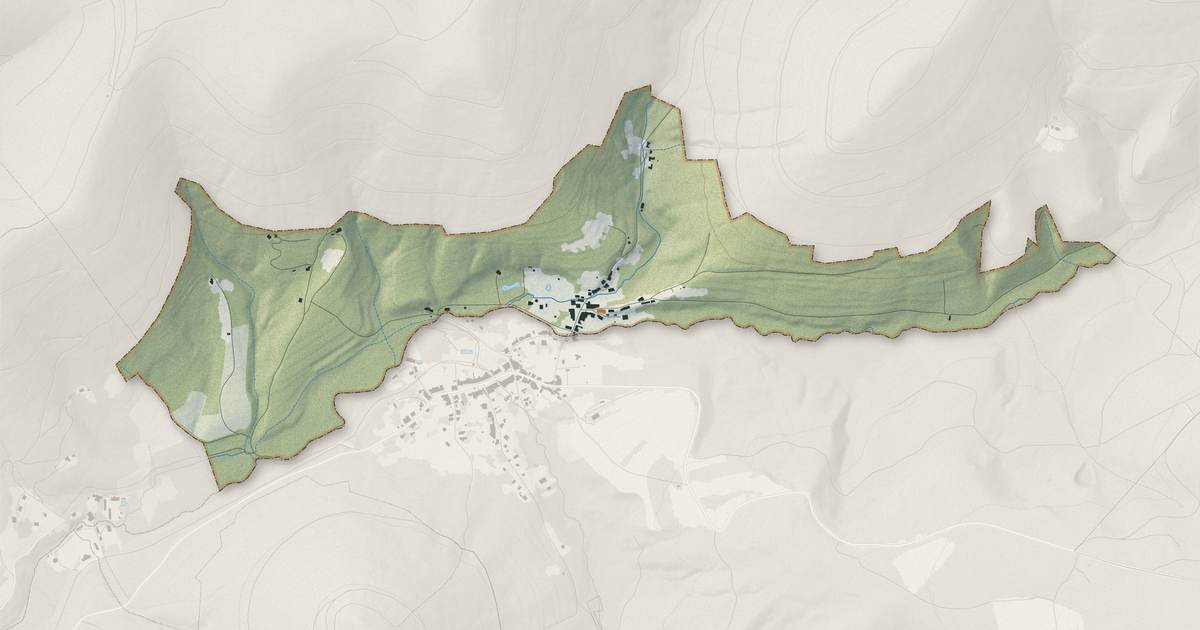 Portrait cartographique de Raon-lès-Leau : relief, eau, forêts, bâti et voies, calculés à partir des données de l'IGN