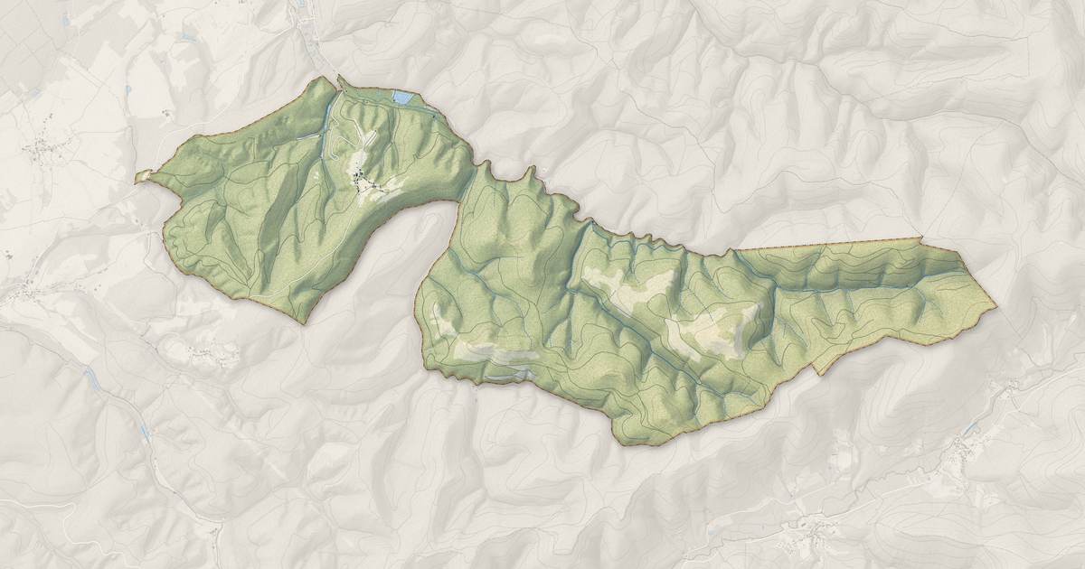 Portrait cartographique de Saint-Sauveur : relief, eau, forêts, bâti et voies, calculés à partir des données de l'IGN