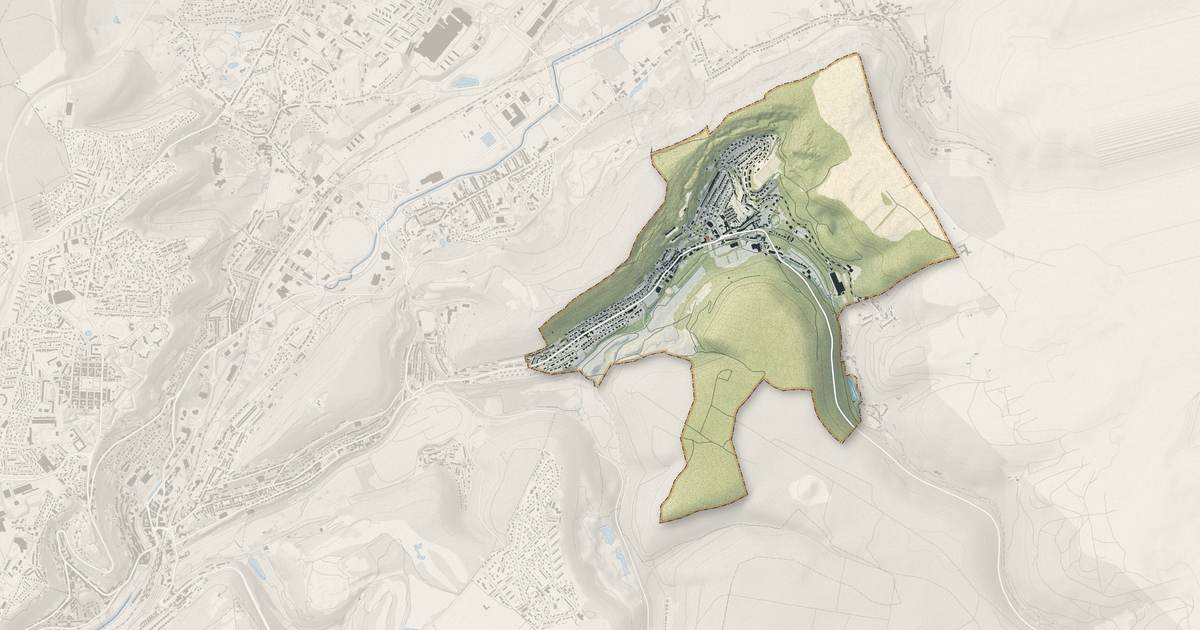 Portrait cartographique de Saulnes : relief, eau, forêts, bâti et voies, calculés à partir des données de l'IGN