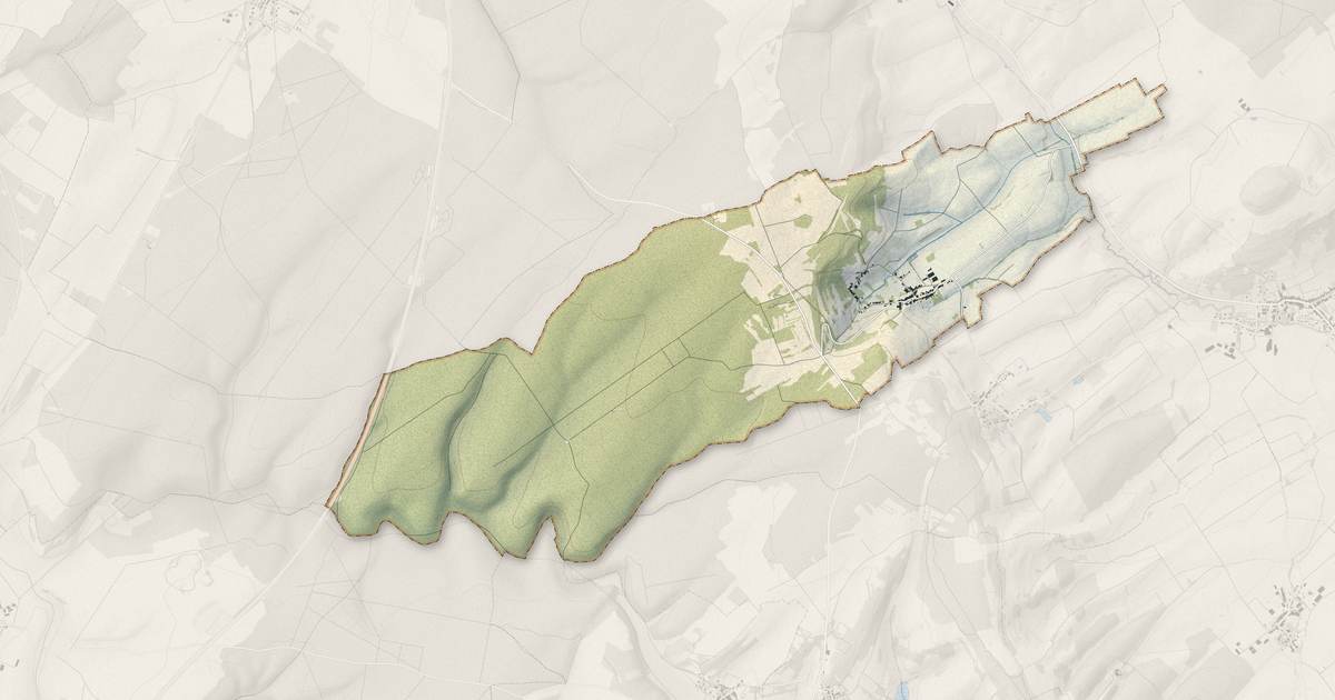 Portrait cartographique de Selaincourt : relief, eau, forêts, bâti et voies, calculés à partir des données de l'IGN
