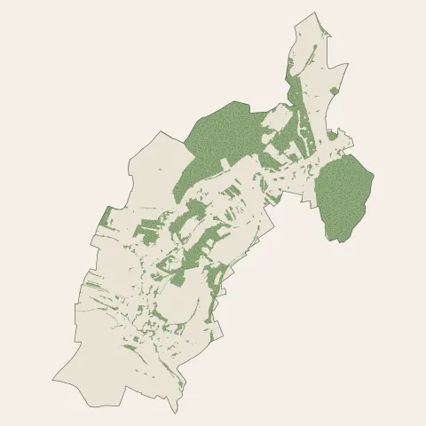 Tucquegnieux : bois, forêts et landes
