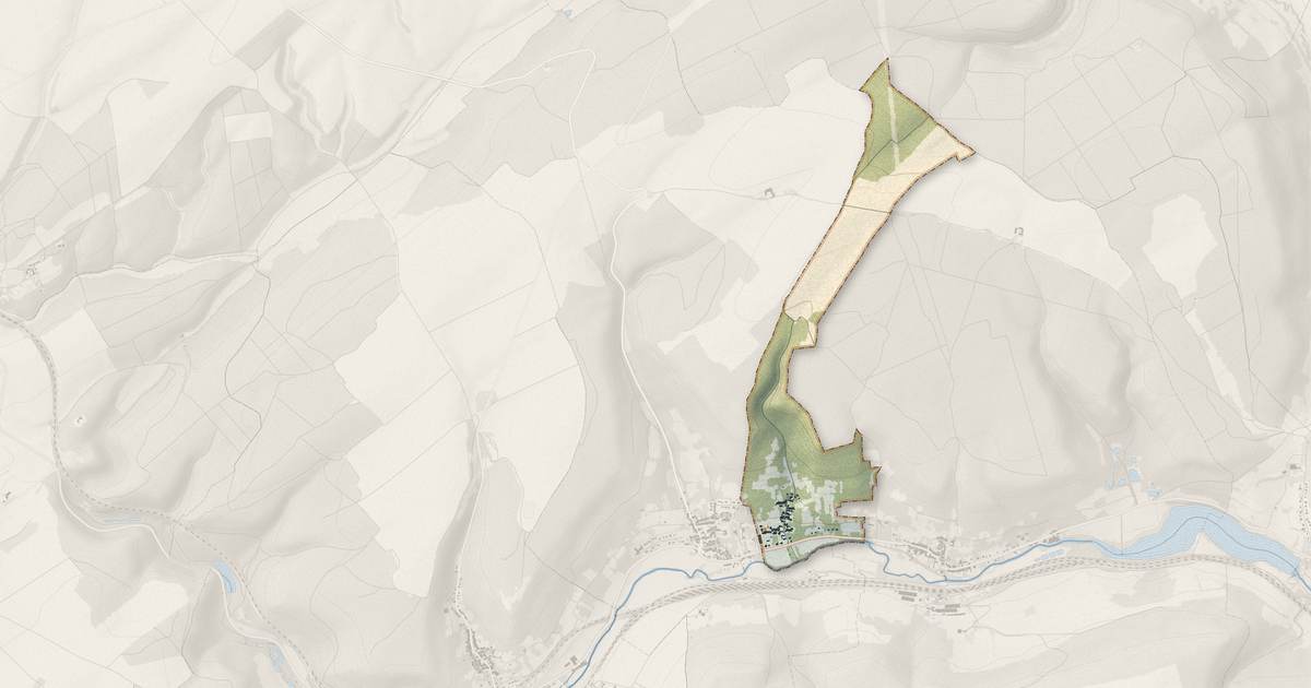 Portrait cartographique de Vandelainville : relief, eau, forêts, bâti et voies, calculés à partir des données de l'IGN