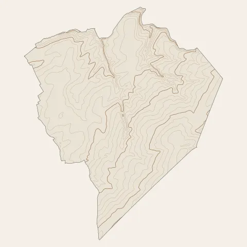 Bois-de-Haye : courbes de niveau