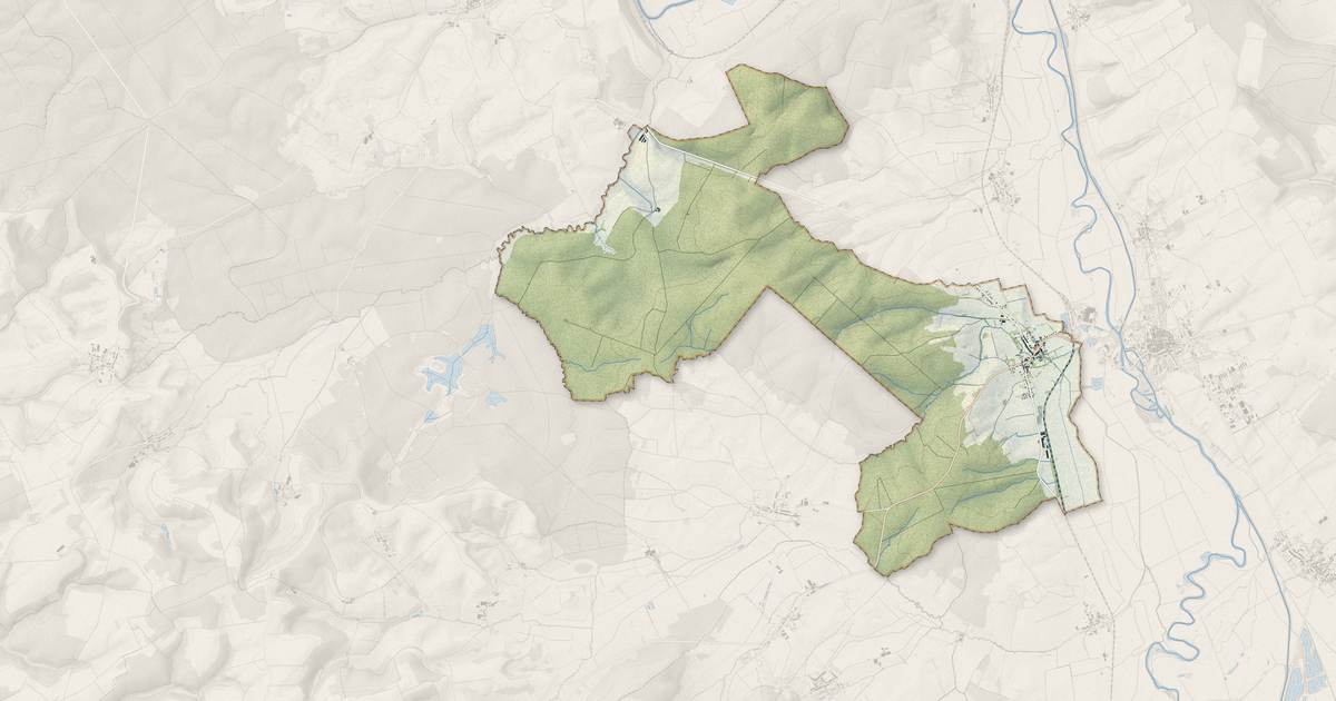 Portrait cartographique de Laneuville-sur-Meuse : relief, eau, forêts, bâti et voies, calculés à partir des données de l'IGN
