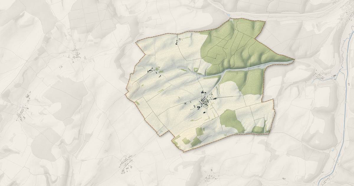 Portrait cartographique de Naives-en-Blois : relief, eau, forêts, bâti et voies, calculés à partir des données de l'IGN