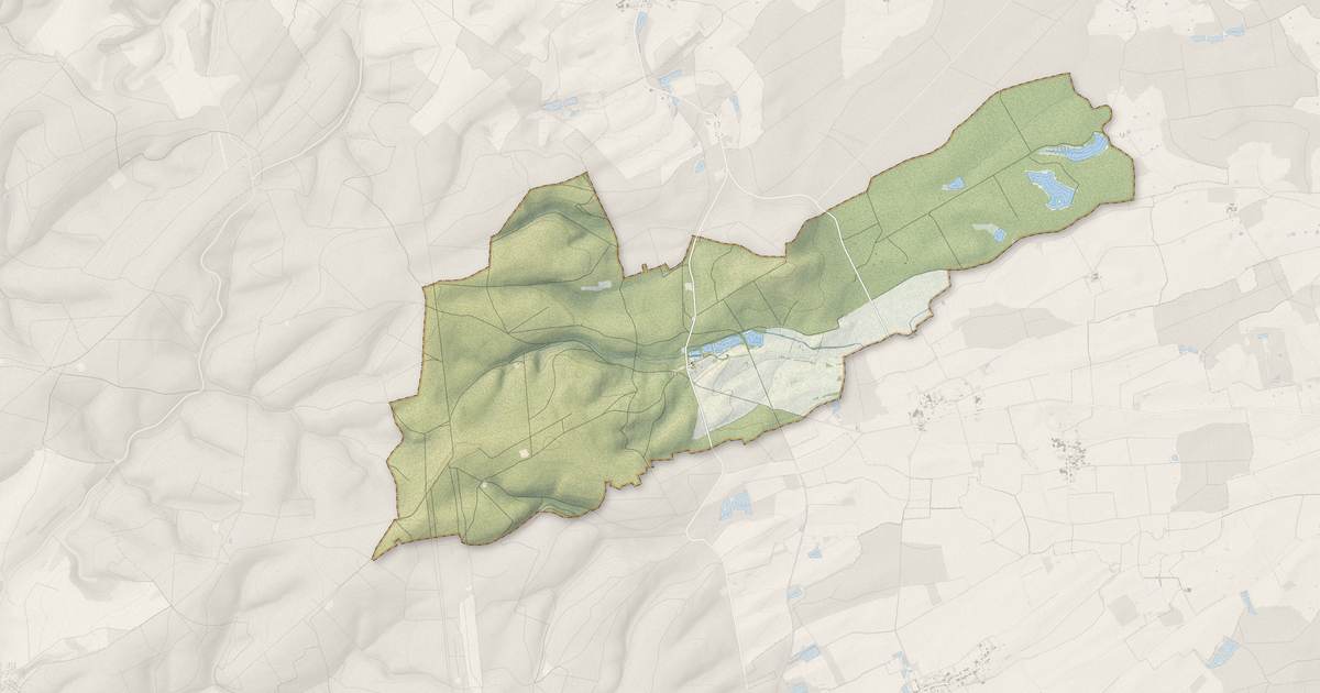 Portrait cartographique de Ornes : relief, eau, forêts, bâti et voies, calculés à partir des données de l'IGN