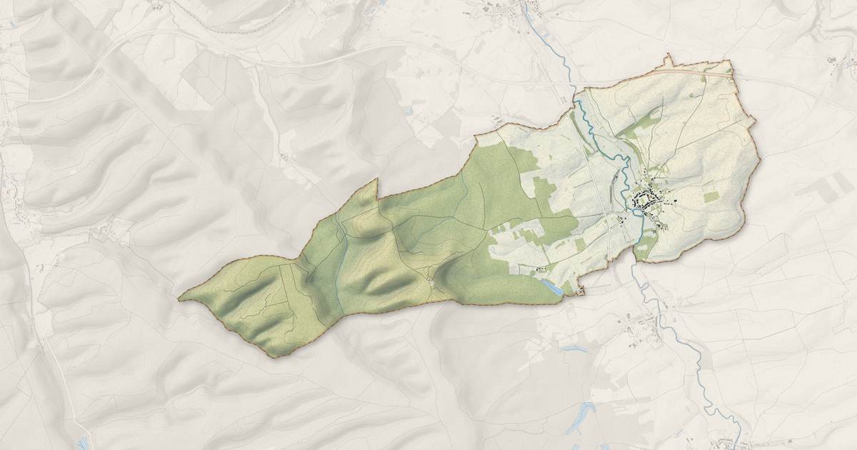 Portrait cartographique de Rarécourt : relief, eau, forêts, bâti et voies, calculés à partir des données de l'IGN
