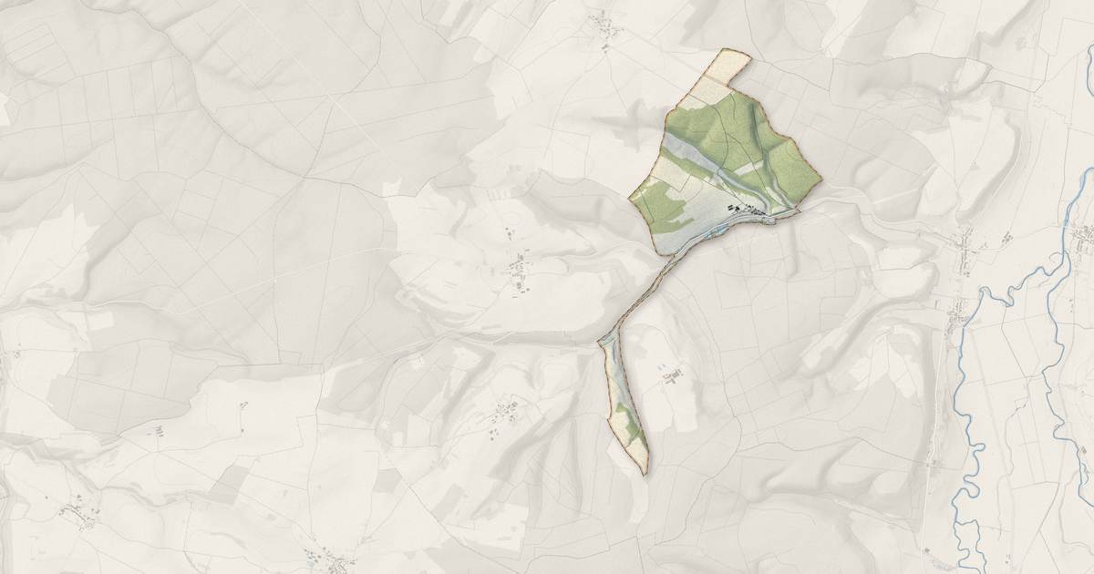 Portrait cartographique de Les Roises : relief, eau, forêts, bâti et voies, calculés à partir des données de l'IGN