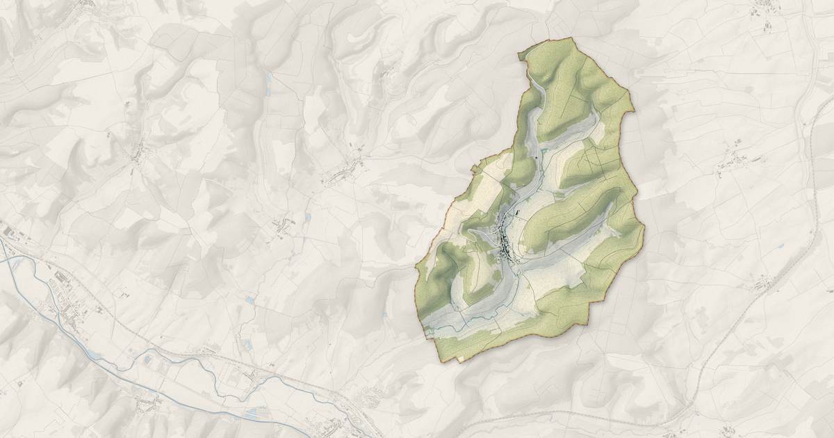 Portrait cartographique de Salmagne : relief, eau, forêts, bâti et voies, calculés à partir des données de l'IGN