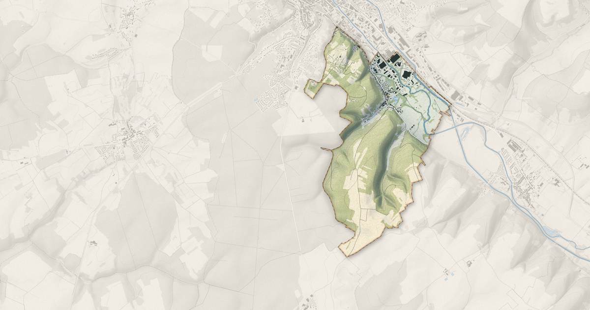 Portrait cartographique de Savonnières-devant-Bar : relief, eau, forêts, bâti et voies, calculés à partir des données de l'IGN