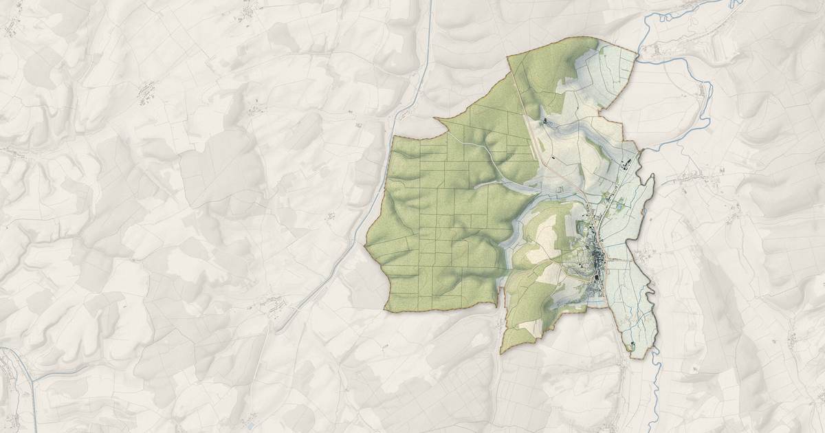 Portrait cartographique de Vaucouleurs : relief, eau, forêts, bâti et voies, calculés à partir des données de l'IGN