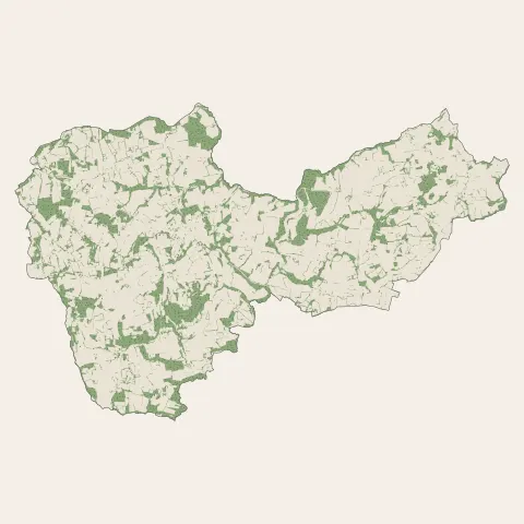 Bignan : bois, forêts et landes