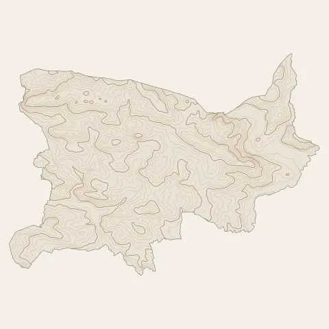 Carentoir : courbes de niveau