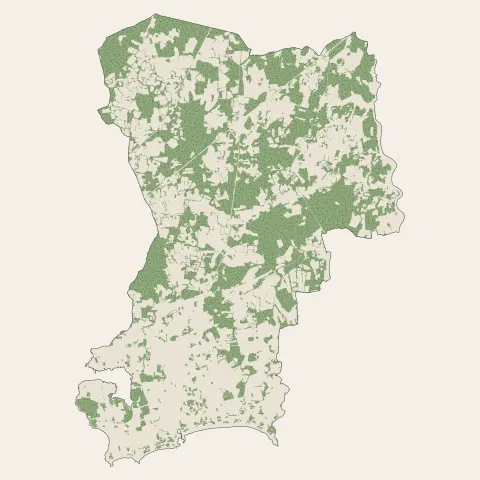 Carnac : bois, forêts et landes