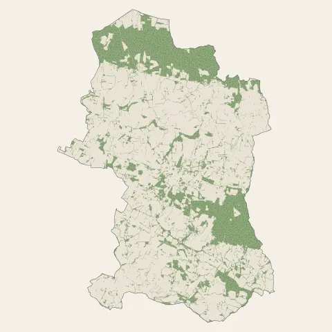 Grand-Champ : bois, forêts et landes