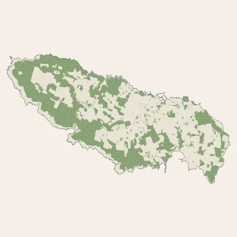 Groix : bois, forêts et landes