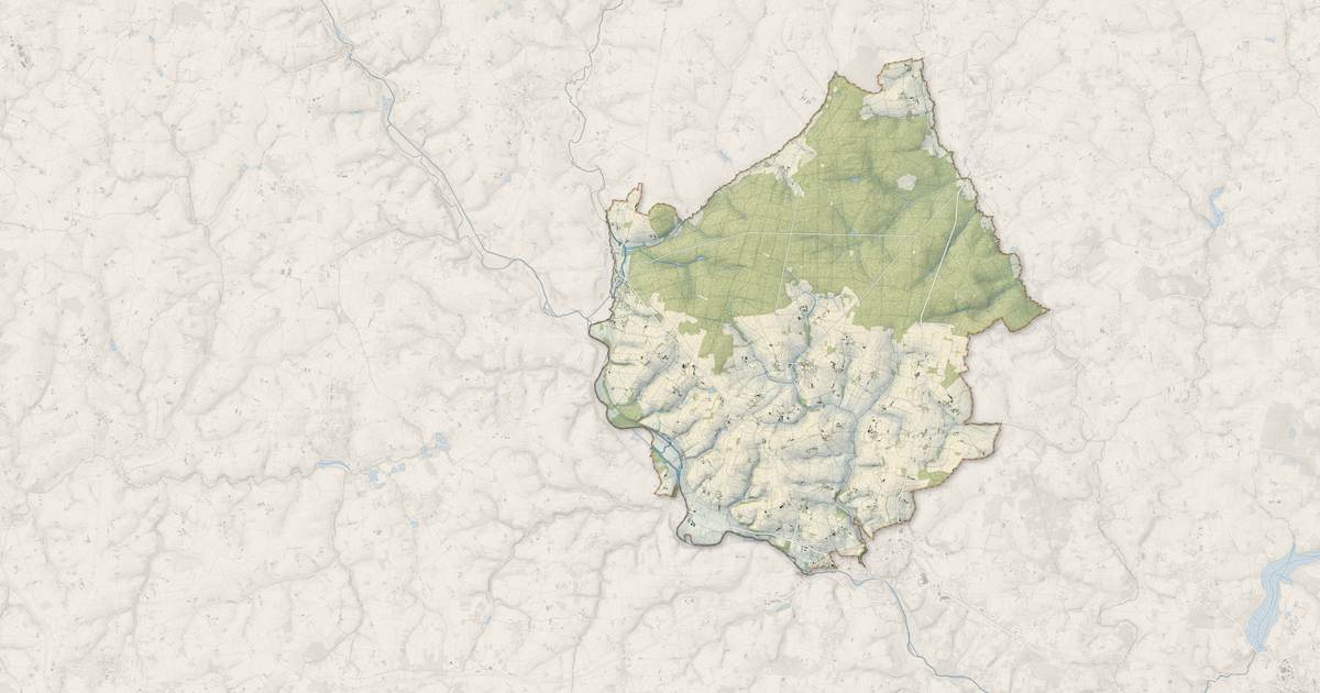 Portrait cartographique de Forges de Lanouée : relief, eau, forêts, bâti et voies, calculés à partir des données de l'IGN