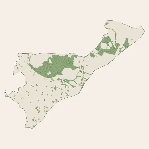 Locmiquélic : bois, forêts et landes