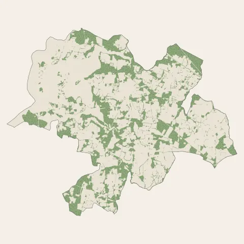 Locoal-Mendon : bois, forêts et landes