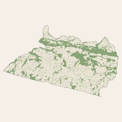 Malansac : bois, forêts et landes