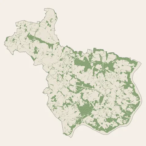 Marzan : bois, forêts et landes