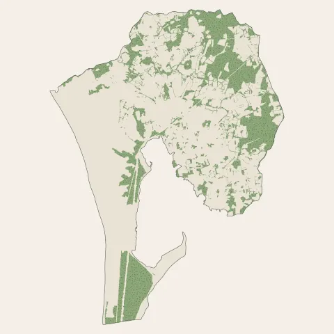 Plouharnel : bois, forêts et landes
