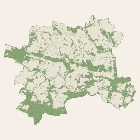 Plumelec : bois, forêts et landes