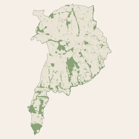 Plumelin : bois, forêts et landes