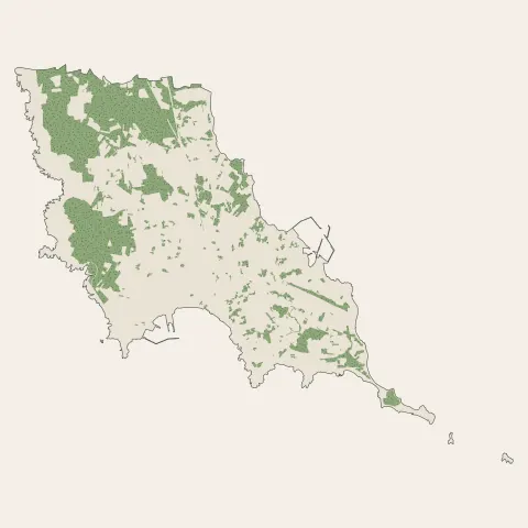 Quiberon : bois, forêts et landes