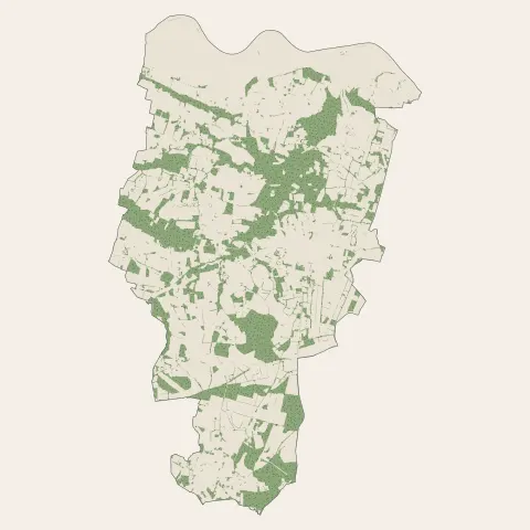 Saint-Dolay : bois, forêts et landes