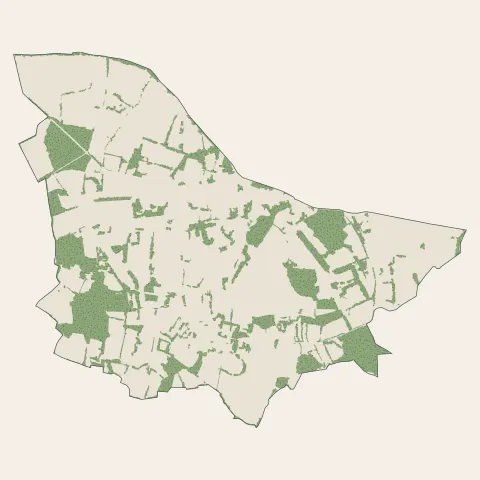 Sainte-Anne-d'Auray : bois, forêts et landes