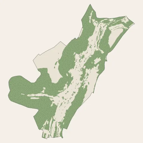 Algrange : bois, forêts et landes