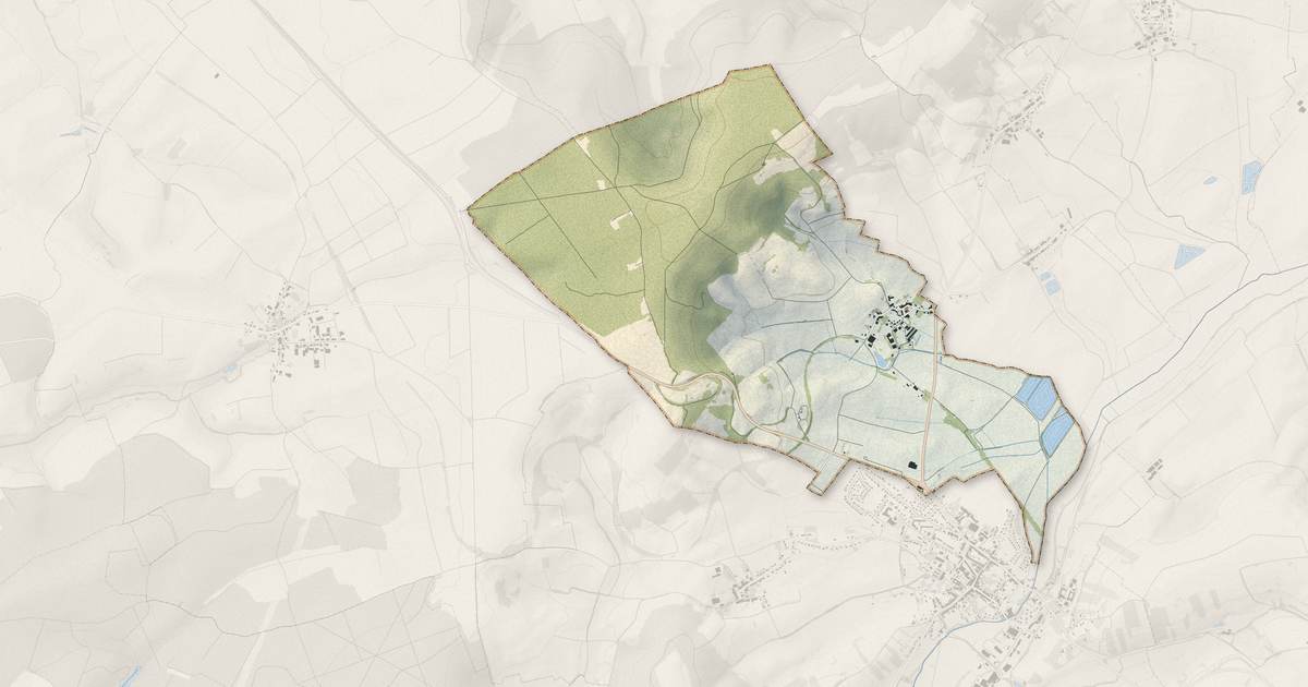 Portrait cartographique de Amelécourt : relief, eau, forêts, bâti et voies, calculés à partir des données de l'IGN