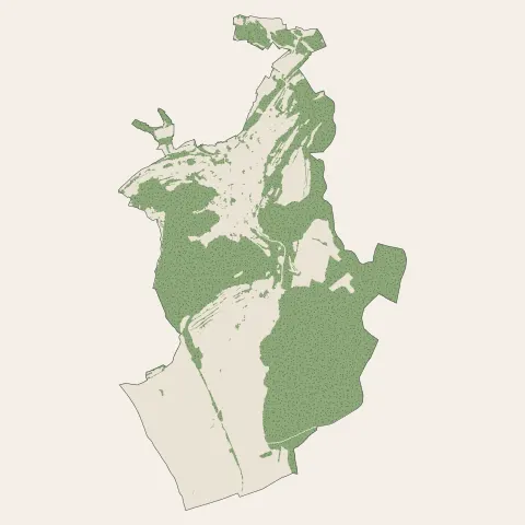 Audun-le-Tiche : bois, forêts et landes
